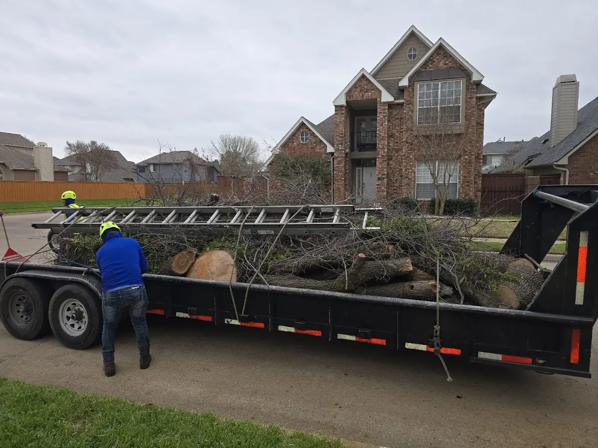 Expert Crown Reduction with proper safety equipment in Waverly